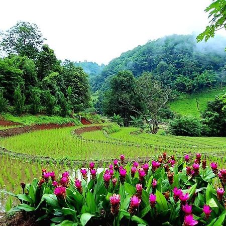 Kowitfarmstay Ban Mae Pan Noi Екстериор снимка