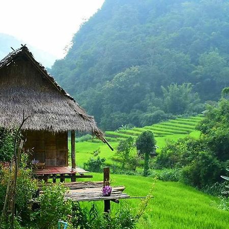 Kowitfarmstay Ban Mae Pan Noi Екстериор снимка
