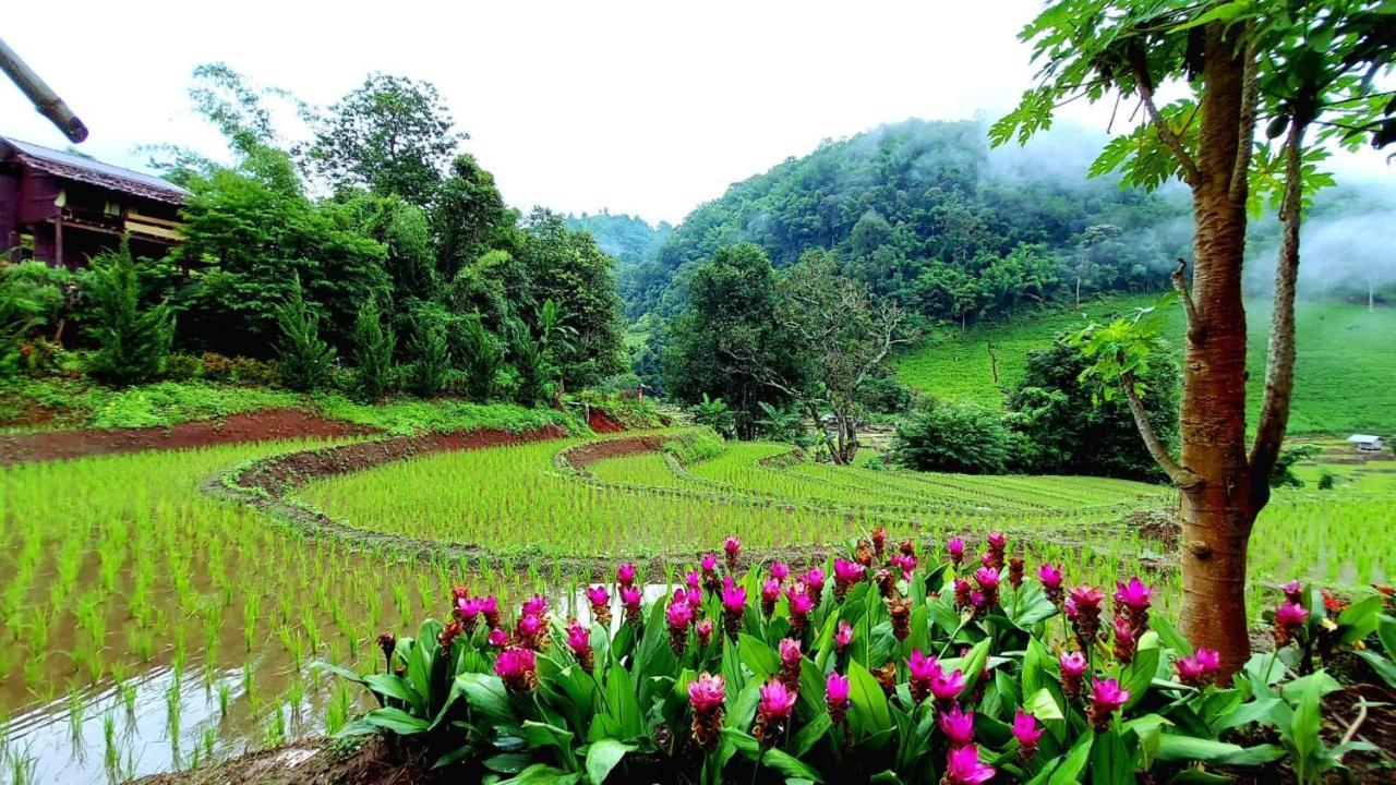Kowitfarmstay Ban Mae Pan Noi Екстериор снимка