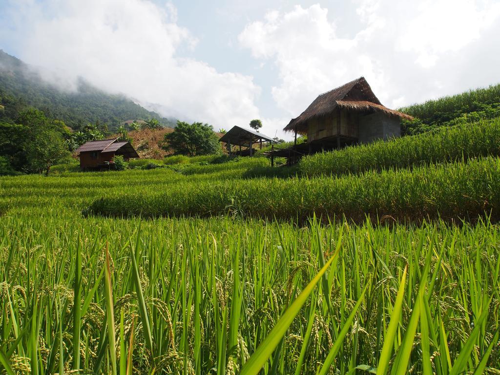 Kowitfarmstay Ban Mae Pan Noi Екстериор снимка