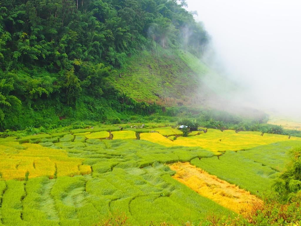 Kowitfarmstay Ban Mae Pan Noi Екстериор снимка