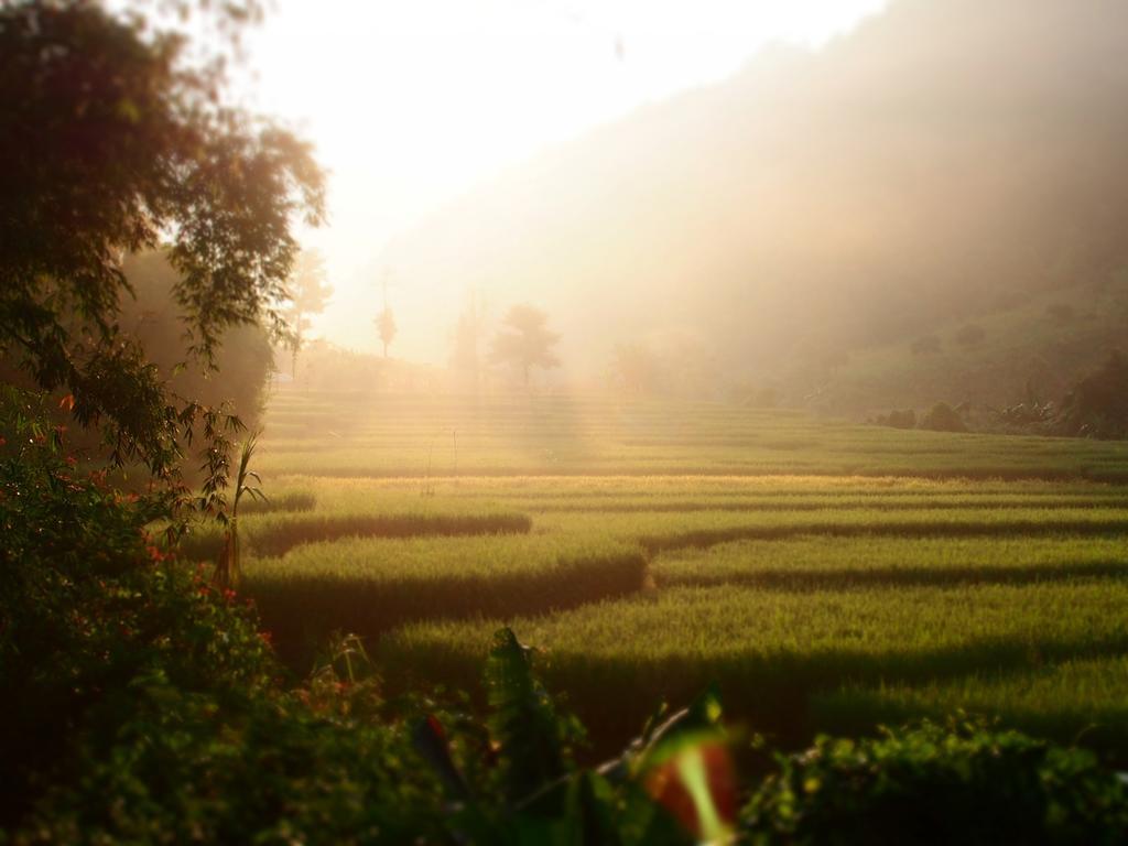 Kowitfarmstay Ban Mae Pan Noi Екстериор снимка