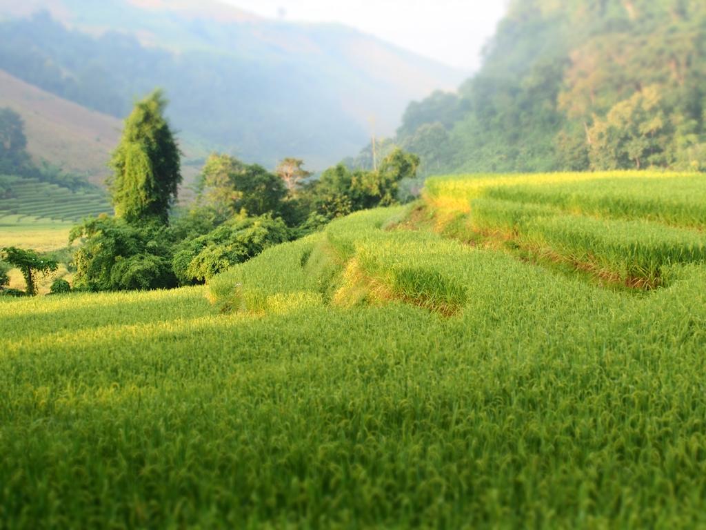 Kowitfarmstay Ban Mae Pan Noi Екстериор снимка