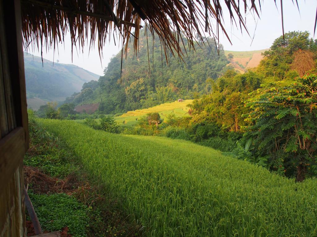 Kowitfarmstay Ban Mae Pan Noi Екстериор снимка