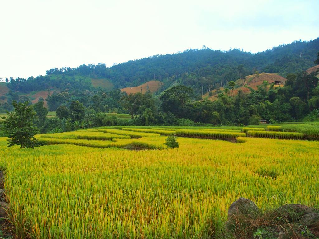 Kowitfarmstay Ban Mae Pan Noi Екстериор снимка