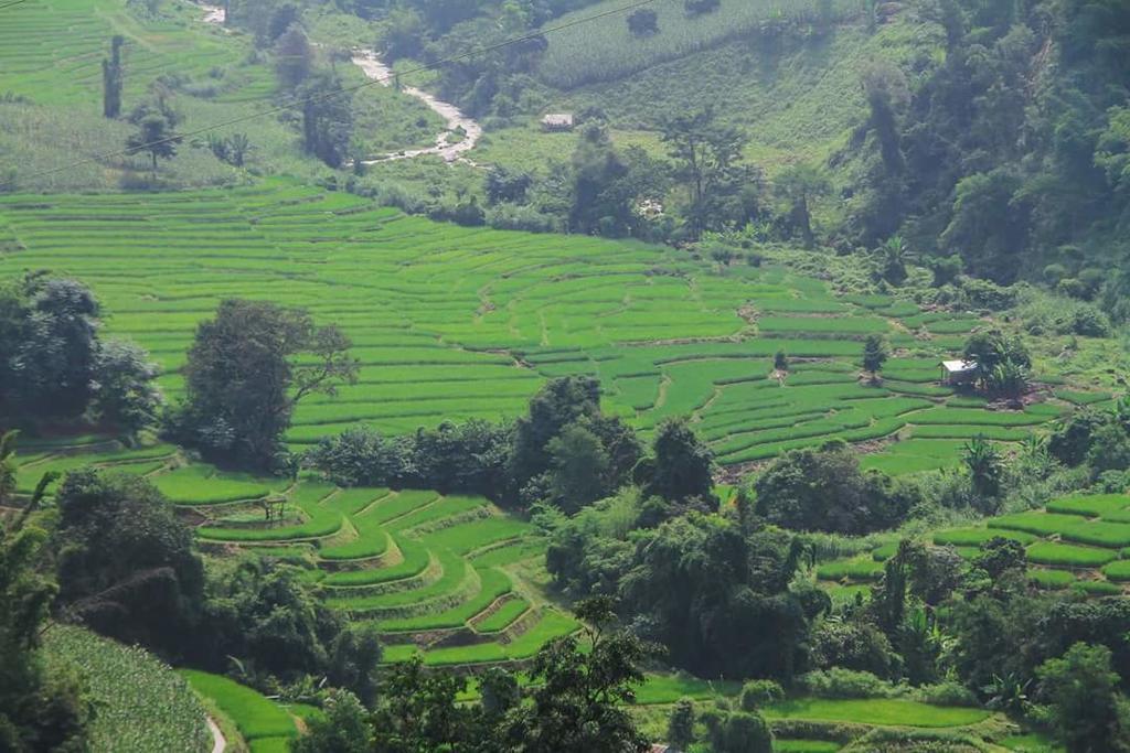 Kowitfarmstay Ban Mae Pan Noi Екстериор снимка