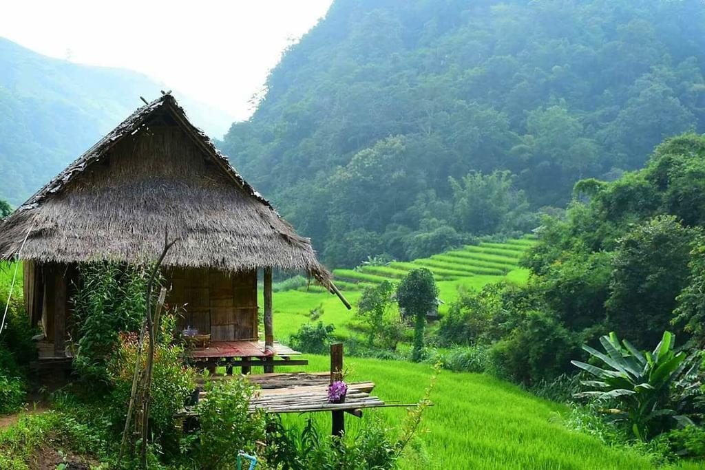 Kowitfarmstay Ban Mae Pan Noi Екстериор снимка