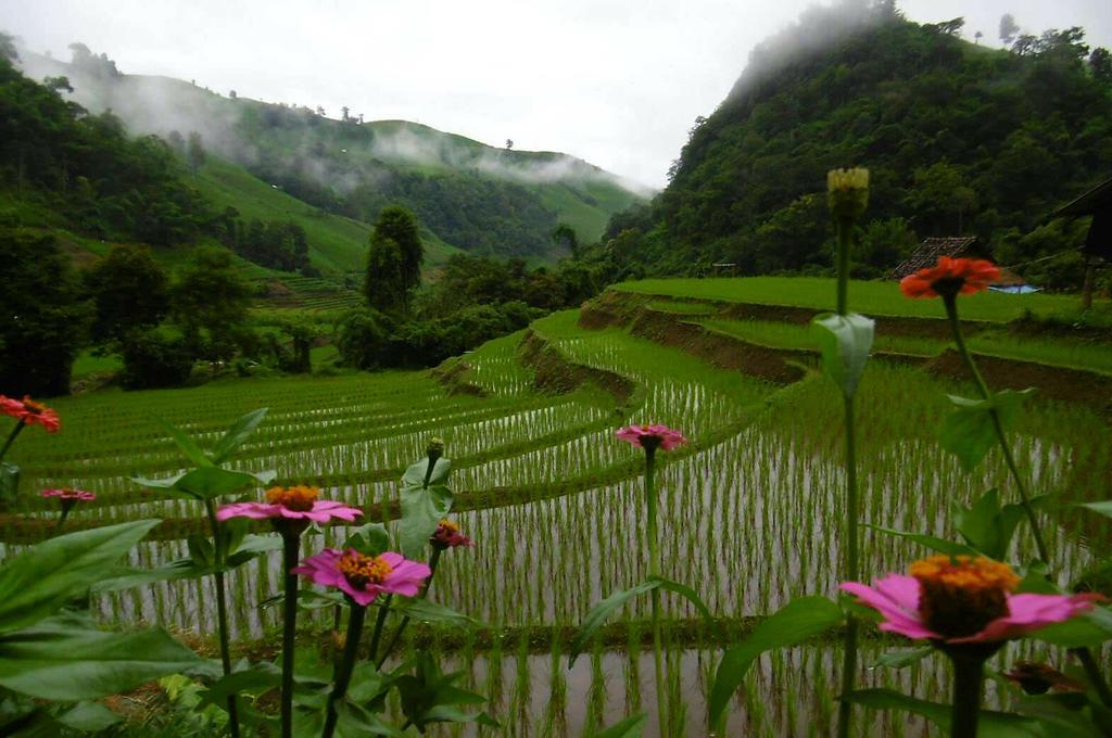 Kowitfarmstay Ban Mae Pan Noi Екстериор снимка