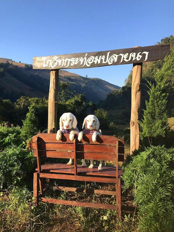 Kowitfarmstay Ban Mae Pan Noi Екстериор снимка